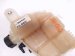 2023 BMW Mini Cooper Coolant Overflow Reservoir Tank 8 687 503 Replacement 2023 BMW Mini Cooper Coolant Overflow Reservoir Tank 8 687 503 Replacement thumbnail