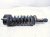 2022 Nissan Frontier Front Passenger Strut Absorber + Spring E6110 9BU1B Replacement 2022 Nissan Frontier Front Passenger Strut Absorber + Spring E6110 9BU1B Replacement thumbnail
