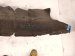 2020 Ford Mustang Rear Passenger Inner Fender Liner FR3Z 63278B50 A Replacement 2020 Ford Mustang Rear Passenger Inner Fender Liner FR3Z 63278B50 A Replacement thumbnail
