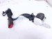 2025 Honda Civic Rear 2nd Row Mid Seat Belt Black 04829 T61 A00ZA Replacement 2025 Honda Civic Rear 2nd Row Mid Seat Belt Black 04829 T61 A00ZA Replacement thumbnail