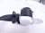 2025 Honda Civic Rear 2nd Row Mid Seat Belt Black 04829 T61 A00ZA Replacement 2025 Honda Civic Rear 2nd Row Mid Seat Belt Black 04829 T61 A00ZA Replacement thumbnail