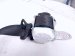 2025 Honda Civic Rear 2nd Row Mid Seat Belt Black 04829 T61 A00ZA Replacement 2025 Honda Civic Rear 2nd Row Mid Seat Belt Black 04829 T61 A00ZA Replacement thumbnail