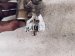 2023 Volkswagen Golf High Pressure Fuel Pump Engine Mtd 06Q 127 025 S Replacement 2023 Volkswagen Golf High Pressure Fuel Pump Engine Mtd 06Q 127 025 S Replacement thumbnail