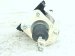 2025 Honda Accord Booster Power Brake Pedal Feel Simulator 01469 30B A02 Replacement 2025 Honda Accord Booster Power Brake Pedal Feel Simulator 01469 30B A02 Replacement thumbnail