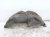 2014 Honda Accord Rear Passenger Inner Fender Liner Sdn 74550 T2A A01 Replacement 2014 Honda Accord Rear Passenger Inner Fender Liner Sdn 74550 T2A A01 Replacement thumbnail