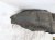 2014 Honda Accord Rear Passenger Inner Fender Liner Sdn 74550 T2A A01 Replacement 2014 Honda Accord Rear Passenger Inner Fender Liner Sdn 74550 T2A A01 Replacement thumbnail