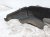 2014 Honda Accord Rear Passenger Inner Fender Liner Sdn 74550 T2A A01 Replacement 2014 Honda Accord Rear Passenger Inner Fender Liner Sdn 74550 T2A A01 Replacement thumbnail