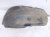 2023 Honda Ridgeline Rear Passenger Inner Fender Liner 74551 T6Z A00 Replacement 2023 Honda Ridgeline Rear Passenger Inner Fender Liner 74551 T6Z A00 Replacement thumbnail