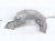 2019 Honda Civic Front Passenger Inner Fender Liner 74101 TBA A00 Replacement 2019 Honda Civic Front Passenger Inner Fender Liner 74101 TBA A00 Replacement thumbnail