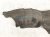 2019 Honda Civic Rear Driver Inner Fender Liner 74592 TBA A00 Replacement 2019 Honda Civic Rear Driver Inner Fender Liner 74592 TBA A00 Replacement thumbnail