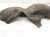 2019 Honda Civic Rear Driver Inner Fender Liner 74592 TBA A00 Replacement 2019 Honda Civic Rear Driver Inner Fender Liner 74592 TBA A00 Replacement thumbnail
