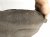 2019 Honda Civic Rear Driver Inner Fender Liner 74592 TBA A00 Replacement 2019 Honda Civic Rear Driver Inner Fender Liner 74592 TBA A00 Replacement thumbnail