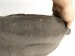 2019 Honda Civic Rear Driver Inner Fender Liner 74592 TBA A00 Replacement 2019 Honda Civic Rear Driver Inner Fender Liner 74592 TBA A00 Replacement thumbnail