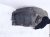 2019 Lexus Es300h Front Passenger Inner Fender Liner 53807 33010 Replacement 2019 Lexus Es300h Front Passenger Inner Fender Liner 53807 33010 Replacement thumbnail