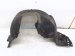 2024 Honda Accord Front Driver Inner Fender Liner Hybrid 74150 30B A00 Replacement 2024 Honda Accord Front Driver Inner Fender Liner Hybrid 74150 30B A00 Replacement thumbnail
