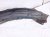 2016 Toyota 4 Runner Front Driver Inner Fender Liner 53876 35150 Replacement 2016 Toyota 4 Runner Front Driver Inner Fender Liner 53876 35150 Replacement thumbnail