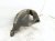2001 Lexus Ls430 Rear Driver Inner Fender Liner Sdn 65638 50010 Replacement 2001 Lexus Ls430 Rear Driver Inner Fender Liner Sdn 65638 50010 Replacement thumbnail