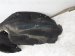 2019 Toyota Rav 4 Front Passenger Inner Fender Liner 53875 0R080 Replacement 2019 Toyota Rav 4 Front Passenger Inner Fender Liner 53875 0R080 Replacement thumbnail