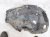 2021 Toyota Gr Supra Front Driver Forward Inner Fender Liner 51 71 8 811 681 Replacement 2021 Toyota Gr Supra Front Driver Forward Inner Fender Liner 51 71 8 811 681 Replacement thumbnail