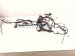 2025 Honda CR V Engine Room Harness Lx 1.5t Fwd 3220A 3A0 A10 Replacement 2025 Honda CR V Engine Room Harness Lx 1.5t Fwd 3220A 3A0 A10 Replacement thumbnail
