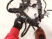 2025 Honda CR V Engine Room Harness Lx 1.5t Fwd 3220A 3A0 A10 Replacement 2025 Honda CR V Engine Room Harness Lx 1.5t Fwd 3220A 3A0 A10 Replacement thumbnail