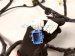 2025 Honda CR V Engine Room Harness Lx 1.5t Fwd 3220A 3A0 A10 Replacement 2025 Honda CR V Engine Room Harness Lx 1.5t Fwd 3220A 3A0 A10 Replacement thumbnail