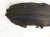 2025 Honda Pilot Rear Passenger Inner Fender Liner 74551 T90 A00 Replacement 2025 Honda Pilot Rear Passenger Inner Fender Liner 74551 T90 A00 Replacement thumbnail
