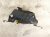 2025 Subaru Forester Rear Passenger Seat Belt Retractor Black 64661SL010VH Replacement 2025 Subaru Forester Rear Passenger Seat Belt Retractor Black 64661SL010VH Replacement thumbnail