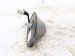2025 Subaru Forester Antenna Roof Mtd Shark Fin Grey 86321SL200 Replacement 2025 Subaru Forester Antenna Roof Mtd Shark Fin Grey 86321SL200 Replacement thumbnail