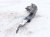 2025 Subaru Forester Driver Hood Hinge Grey 57260SL0109P Replacement 2025 Subaru Forester Driver Hood Hinge Grey 57260SL0109P Replacement thumbnail