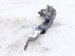 2025 Subaru Forester Driver Hood Hinge Grey 57260SL0109P Replacement 2025 Subaru Forester Driver Hood Hinge Grey 57260SL0109P Replacement thumbnail