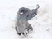 2025 Subaru Forester Driver Hood Hinge Grey 57260SL0109P Replacement 2025 Subaru Forester Driver Hood Hinge Grey 57260SL0109P Replacement thumbnail
