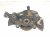 2021 Toyota Corolla Front Passenger Spindle Knuckle Hub 43211 02390 Replacement 2021 Toyota Corolla Front Passenger Spindle Knuckle Hub 43211 02390 Replacement thumbnail