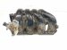 2021 Toyota Corolla Intake Manifold 17120 0T080 Replacement 2021 Toyota Corolla Intake Manifold 17120 0T080 Replacement thumbnail
