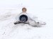 2023 Honda Ridgeline Passenger Intermediate Jack Shaft At 44500 TZ3 A01 Replacement 2023 Honda Ridgeline Passenger Intermediate Jack Shaft At 44500 TZ3 A01 Replacement thumbnail