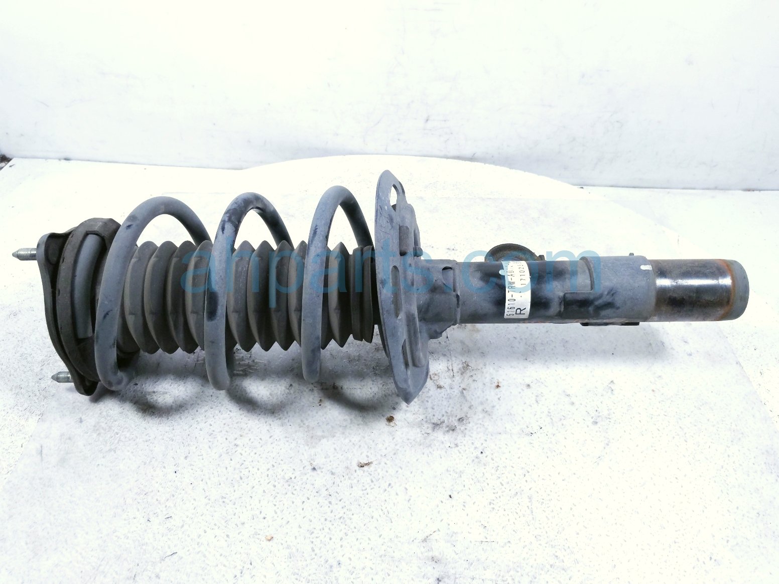 Honda FR/RH STRUT ABSORBER + SPRING
