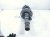 2018 Honda Clarity Front Passenger Strut Absorber + Spring 51610 TRW A01 Replacement 2018 Honda Clarity Front Passenger Strut Absorber + Spring 51610 TRW A01 Replacement thumbnail