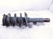 2018 Honda Clarity Front Driver Strut Absorber + Spring 51621 TRW A01 Replacement 2018 Honda Clarity Front Driver Strut Absorber + Spring 51621 TRW A01 Replacement thumbnail