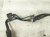 2023 Honda Ridgeline Transmission Oil Cooler 3.5l Awd 25500 5MK 033 Replacement 2023 Honda Ridgeline Transmission Oil Cooler 3.5l Awd 25500 5MK 033 Replacement thumbnail