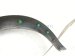 2023 Nissan Pathfinder Front Driver Fender Flare Molding Black 63861 6TA0A Replacement 2023 Nissan Pathfinder Front Driver Fender Flare Molding Black 63861 6TA0A Replacement thumbnail