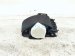 2021 Toyota Corolla Seat Rear Mid Belt Retractor Black Sdn 73350 12370 C1 Replacement 2021 Toyota Corolla Seat Rear Mid Belt Retractor Black Sdn 73350 12370 C1 Replacement thumbnail