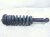 2004 Toyota Tacoma Front Passenger Strut Absorber + Spring 48510 80012 Replacement 2004 Toyota Tacoma Front Passenger Strut Absorber + Spring 48510 80012 Replacement thumbnail