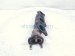 2004 Toyota Tacoma Passenger Front Exhaust Manifold 3.4l 17141 62110 Replacement 2004 Toyota Tacoma Passenger Front Exhaust Manifold 3.4l 17141 62110 Replacement thumbnail