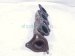 2004 Toyota Tacoma Driver Front Exhaust Manifold 3.4l 17142 62110 Replacement 2004 Toyota Tacoma Driver Front Exhaust Manifold 3.4l 17142 62110 Replacement thumbnail