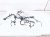 2017 Honda HR V Engine Wire Harness At Lx Fwd 32110 51M A50 Replacement 2017 Honda HR V Engine Wire Harness At Lx Fwd 32110 51M A50 Replacement thumbnail