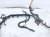 2023 Honda Ridgeline Main Engine Wire Harness 3.5l Awd 32110 5MJ A10 Replacement 2023 Honda Ridgeline Main Engine Wire Harness 3.5l Awd 32110 5MJ A10 Replacement thumbnail