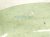 2024 Toyota Corolla Front Driver Door Glass Window 68102 12D80 Replacement 2024 Toyota Corolla Front Driver Door Glass Window 68102 12D80 Replacement thumbnail
