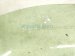 2024 Toyota Corolla Front Driver Door Glass Window 68102 12D80 Replacement 2024 Toyota Corolla Front Driver Door Glass Window 68102 12D80 Replacement thumbnail