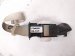 2018 Honda Clarity Rear Driver Seat Belt Retractor Tan 04828 TRT A01ZE Replacement 2018 Honda Clarity Rear Driver Seat Belt Retractor Tan 04828 TRT A01ZE Replacement thumbnail