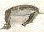 2023 Nissan Pathfinder Front Passenger Inner Fender Liner 63842 6SA0B Replacement 2023 Nissan Pathfinder Front Passenger Inner Fender Liner 63842 6SA0B Replacement thumbnail